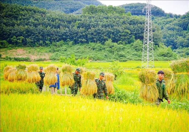 Mua vang am tinh quan dan vung ngoai long chao Muong Thanh hinh anh 6