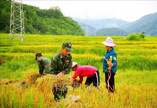 Mua vang am tinh quan dan vung ngoai long chao Muong Thanh hinh anh 7