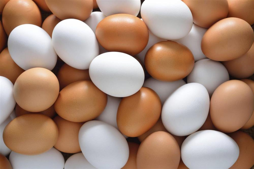 Sự khác biệt giữa trứng vỏ nâu và trứng vỏ trắng là gì? Hàm lượng dinh dưỡng bên trong có khác nhau không?-1
