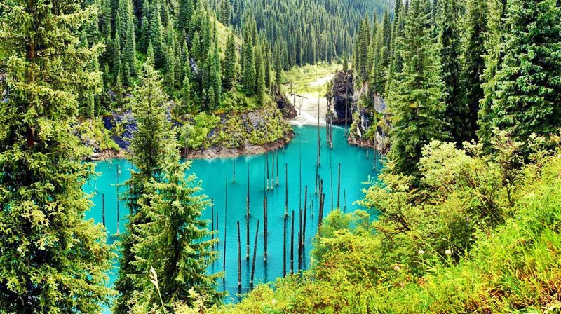 Hồ nước siêu ảo mọc rừng cây 