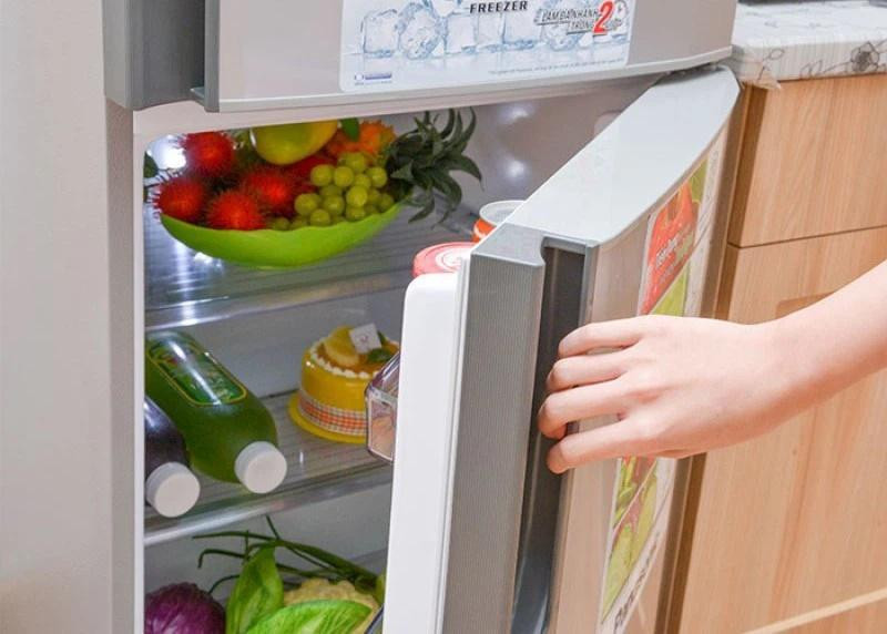 Bí quyết bảo quản thực phẩm tươi lâu khi tủ lạnh mất điện-4
