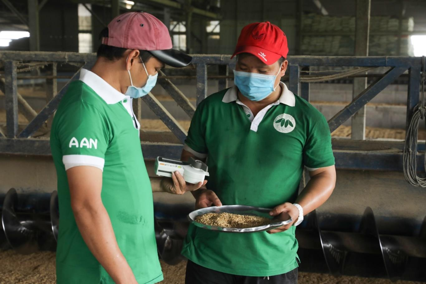 Tập đoàn Tân Long và mục tiêu phát triển hạt gạo Việt dài hạn - 1