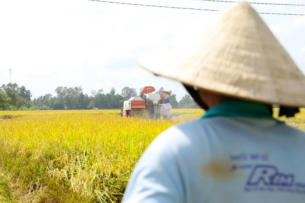 Tập đoàn Tân Long và mục tiêu phát triển hạt gạo Việt dài hạn - 2