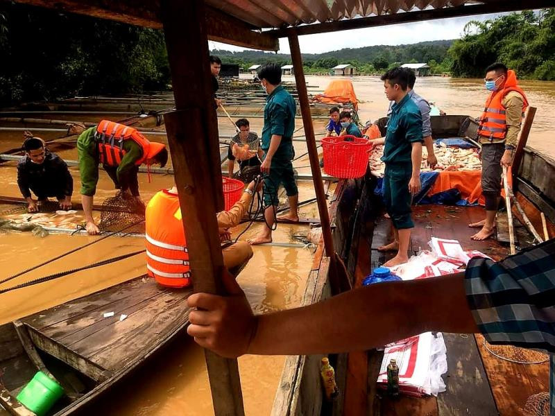 Hơn 750 tấn cá bè chết trương phình trên sông Đồng Nai - 2