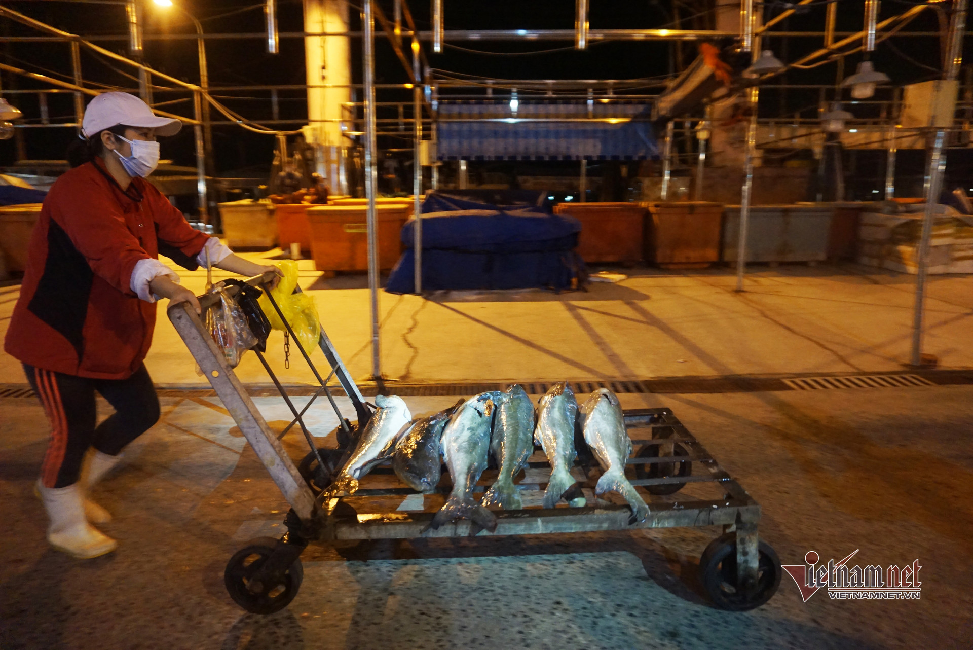 Hoạt động lặng lẽ ở cảng cá lớn nhất miền Trung ngày đầu mở bán