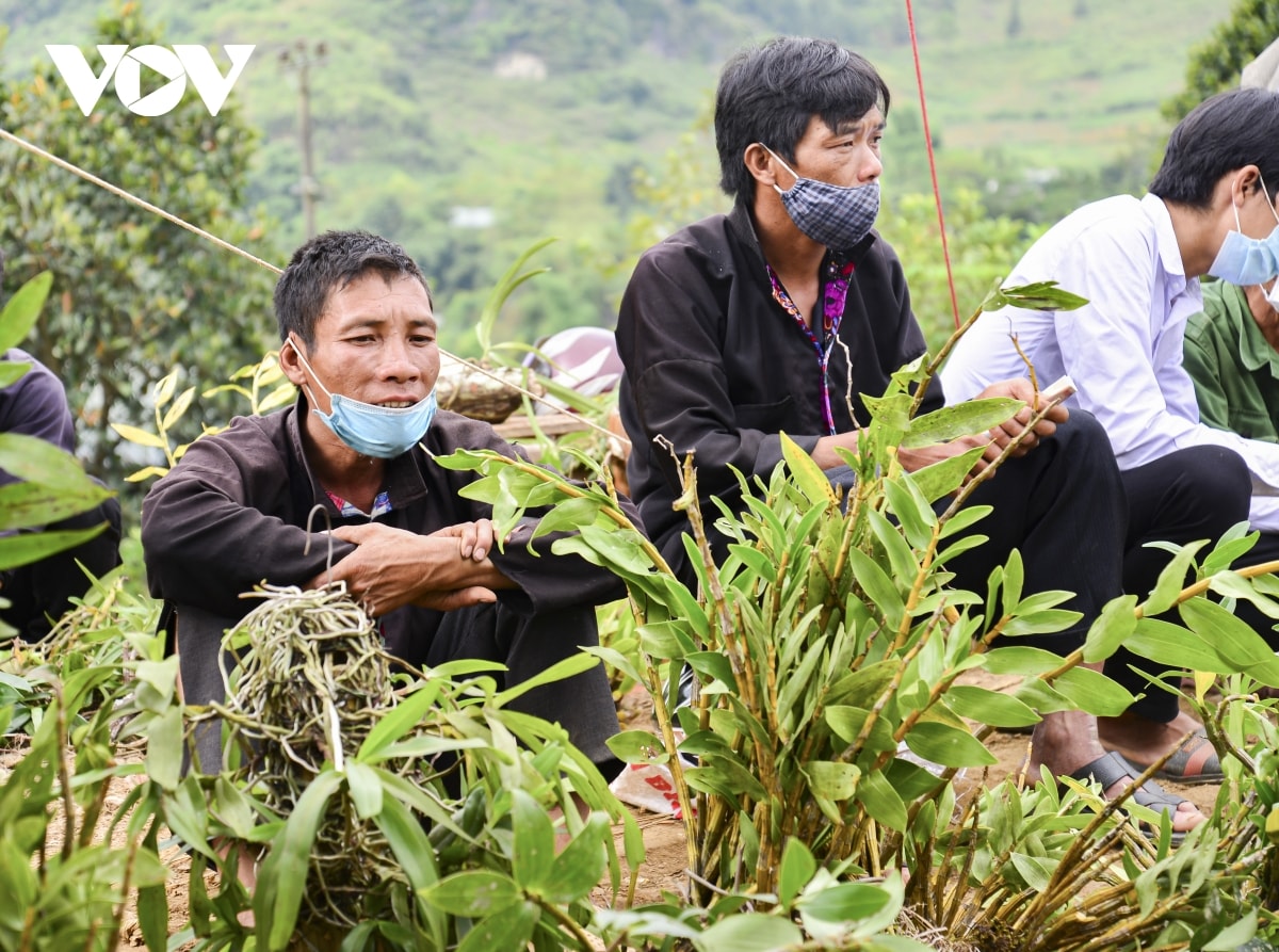 Nét đẹp chợ phiên vùng cao Tủa Chùa, Điện Biên - 7