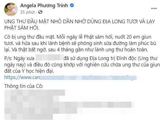 Vừa ăn phạt 7,5 triệu, Angela Phương Trinh vẫn quảng cáo giun?-2