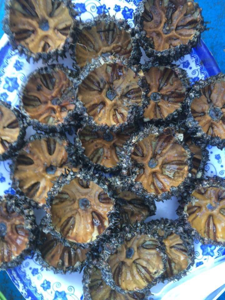 Đi Phú Quốc ăn thử 'chôm chôm của biển' ngon hết ý - 2