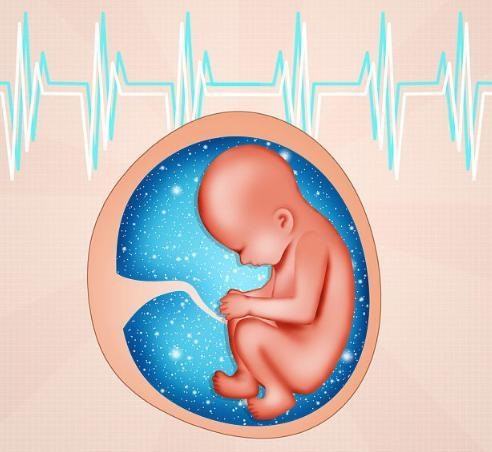 3 âm thanh nhạy cảm nhất với thai nhi, 2 âm thanh sau giúp ích cho sự phát triển, âm thanh thứ nhất cần tránh xa-1
