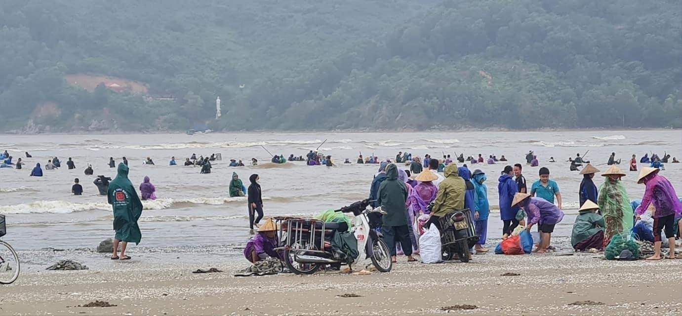 Hàng tấn sò mai theo sóng dạt vào bờ, người dân kéo nhau đi vợt kiếm bạc triệu