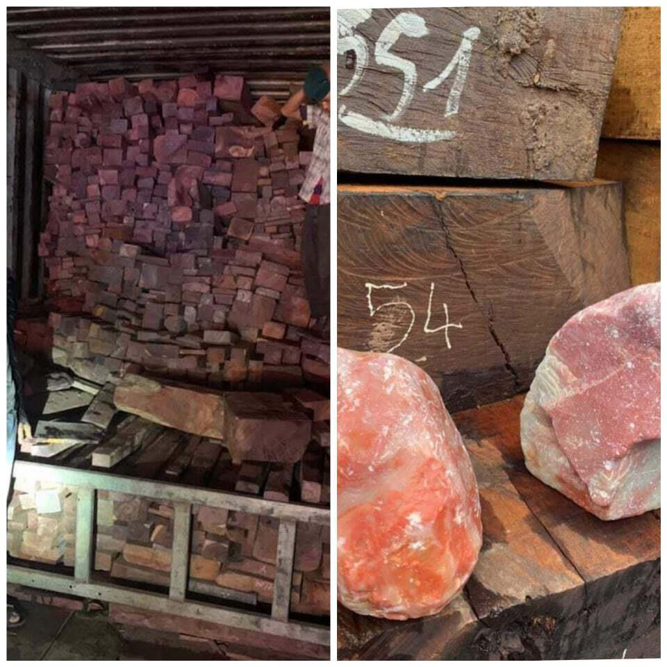 Phá vụ buôn lậu đá, gỗ quý quy mô lớn ở Quảng Trị: Phó Thủ tướng viết thư khen - 1