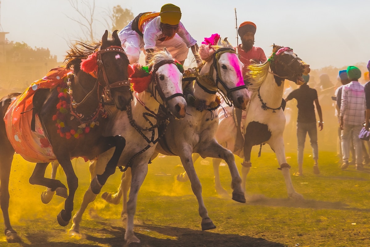 Lễ hội của người Sikh - 2