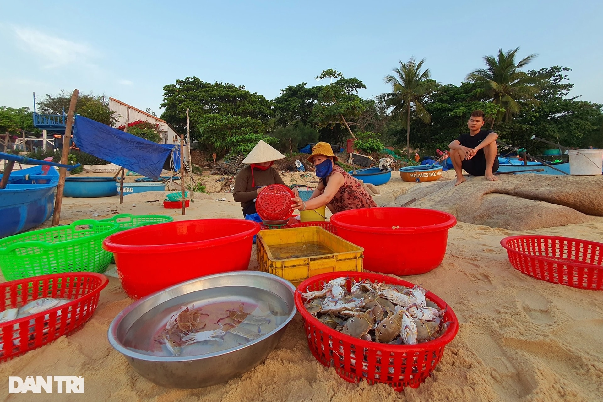 Mê đắm cảnh đẹp làng chài An Hải ở xứ