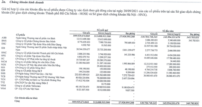 Hé mở danh mục đầu tư chứng khoán hơn nửa nghìn tỉ đồng của Nhà Đà Nẵng ảnh 1