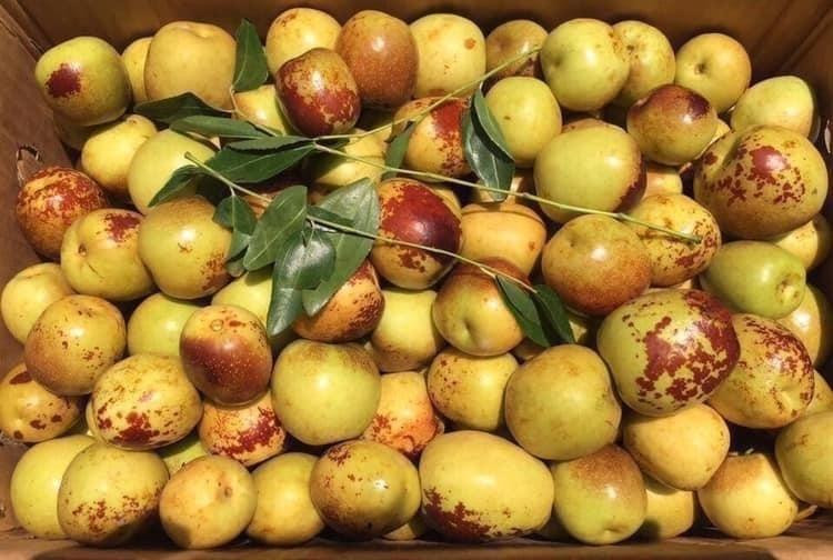 Tỉnh táo tránh mua nhầm 7 loại trái Trung Quốc tràn ngập chợ Việt Nam-5