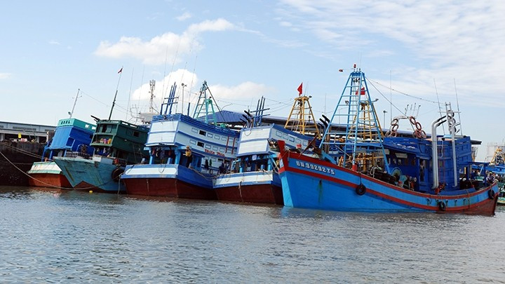 Ngư dân trên các tàu cá khi cập cảng Bà Rịa - Vũng Tàu