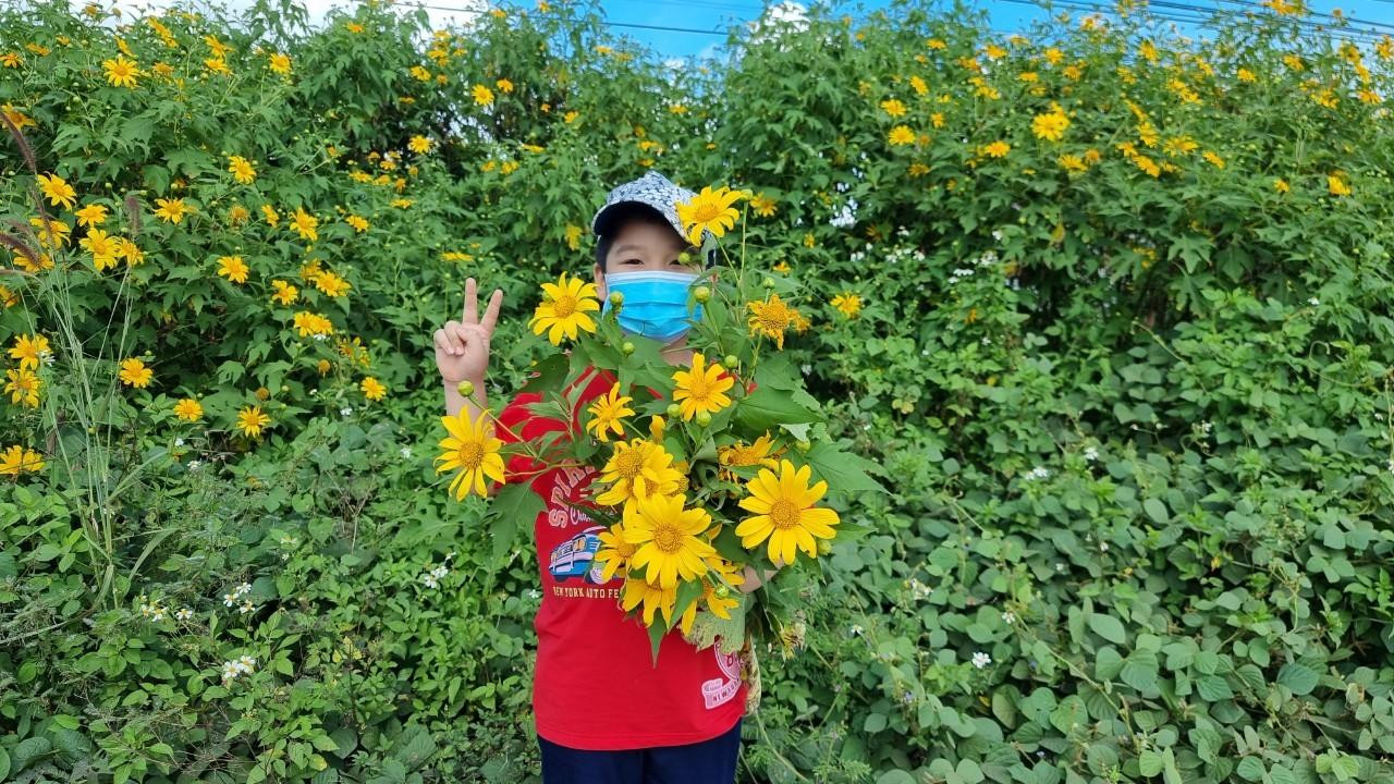 Hoa dã quỳ rực rỡ sắc vàng ở vùng đất hoang sơ của Lâm Đồng - 6
