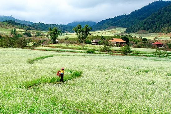 Sơn La có một 