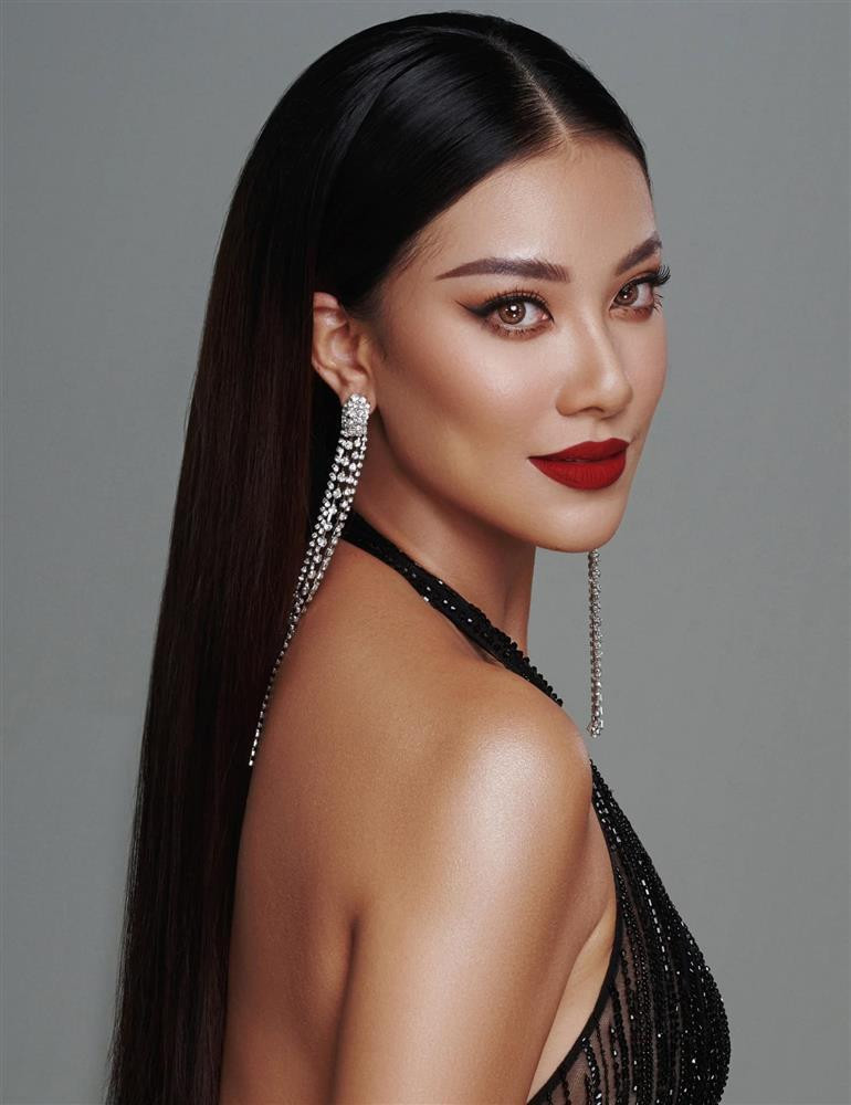 Ảnh profile mỹ nhân Việt tại Miss Universe: Ai hơn nổi HHen Niê?-9