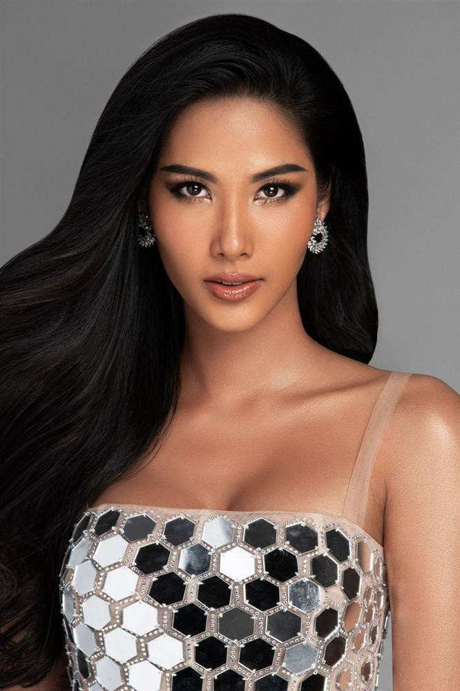Ảnh profile mỹ nhân Việt tại Miss Universe: Ai hơn nổi HHen Niê?-7