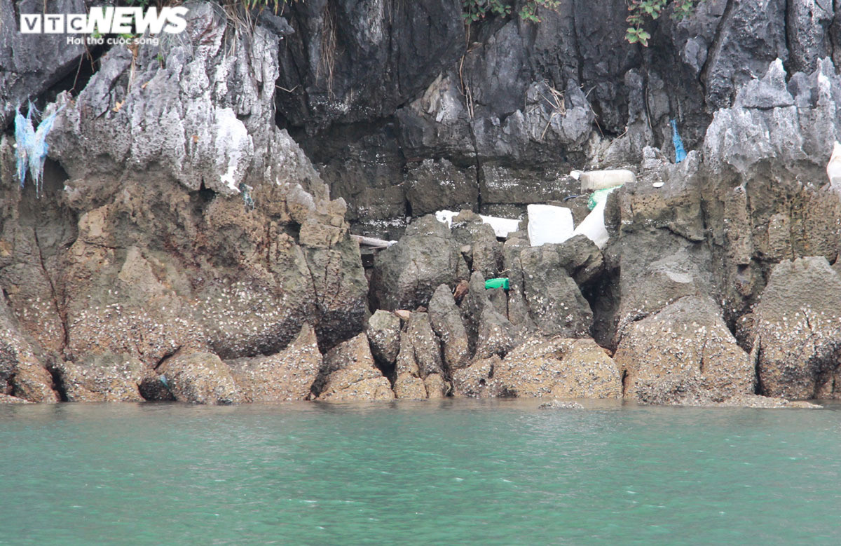Ảnh: Rác thải đại dương trôi dạt khắp nơi trên vịnh Bái Tử Long, Quảng Ninh - 14