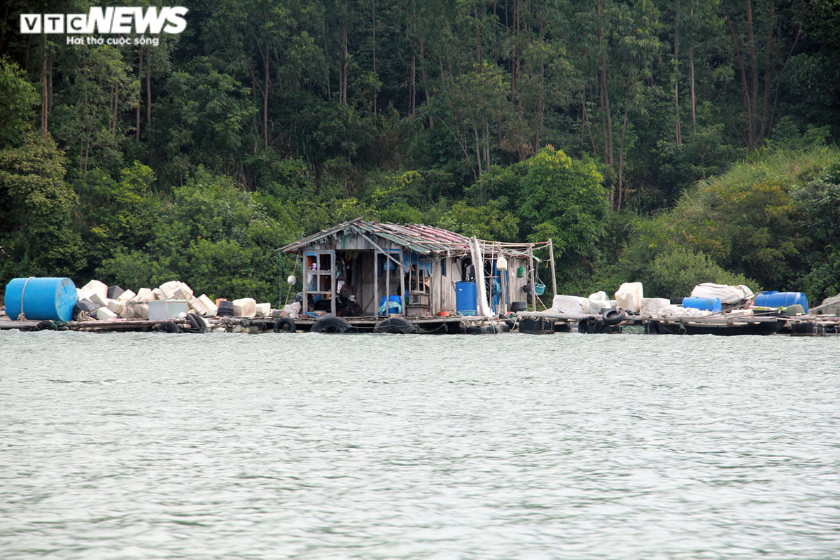 Ảnh: Rác thải đại dương trôi dạt khắp nơi trên vịnh Bái Tử Long, Quảng Ninh - 15