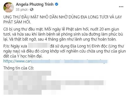 Angela Phương Trinh quyết tuyên truyền địa long dù bị phản ứng?-2