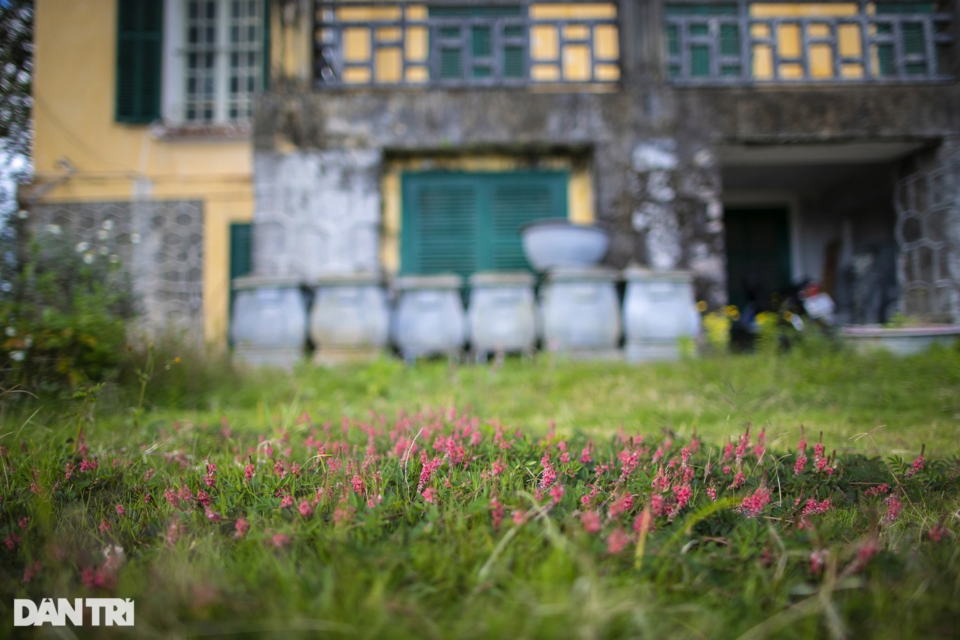 Vẻ đẹp rêu phong của Dinh Tỉnh trưởng hơn 100 tuổi ở Đà Lạt - 4