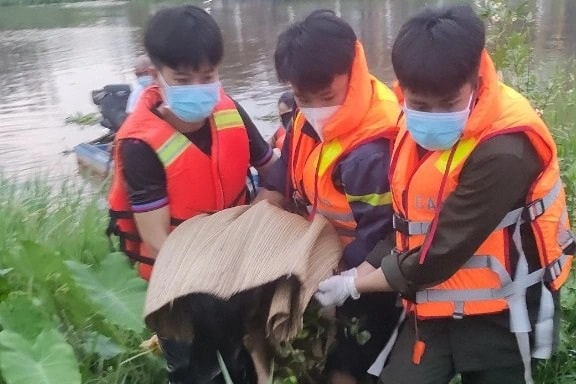 Nam công nhân rơi xuống rạch tử vong chưa rõ nguyên nhân - 1 Nam công nhân rơi xuống rạch tử vong chưa rõ nguyên nhân - 1