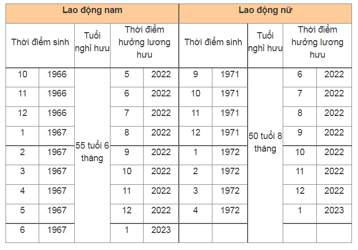 Điều kiện hưởng lương hưu năm 2022 với người lao động - Ảnh 1.