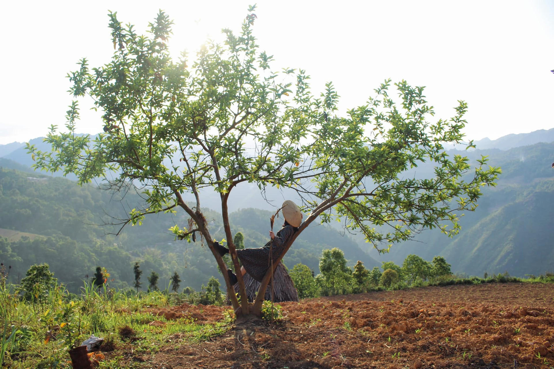 Lạc vào làng cổ trăm năm tuổi ở Hà Giang, đi lội suối bắt cá, uống rượu ngô men lá - 7