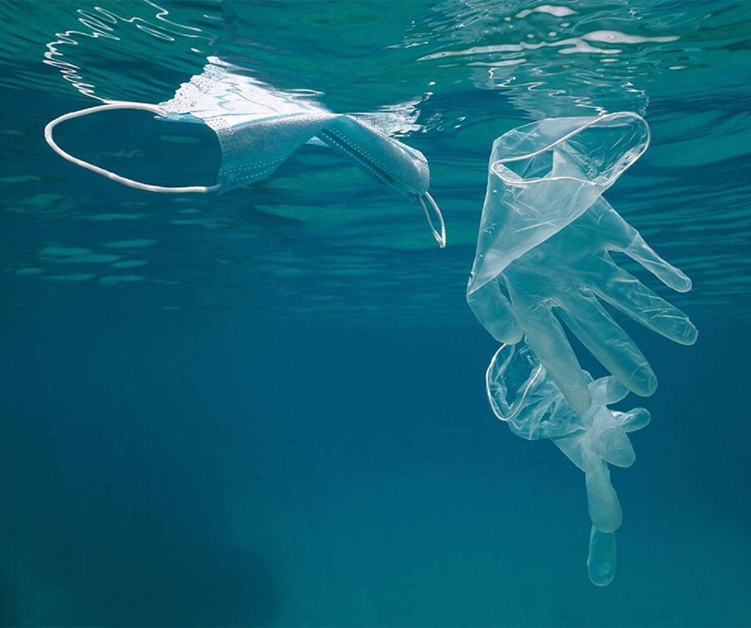 Rác thải nhựa đưa đại dịch COVID-19 ảnh hưởng đến cả đại dương - 1