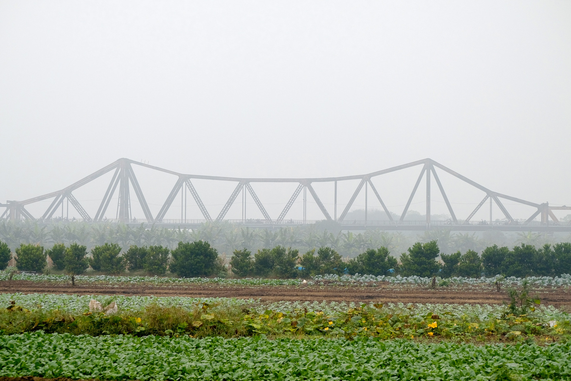 Mưa rét, sương mù bao phủ dày đặc Hà Nội ngày cuối tuần - 4