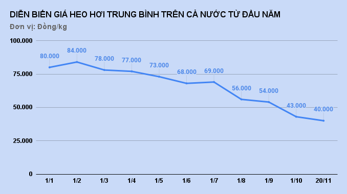 gia lon hoi giam manh anh 1