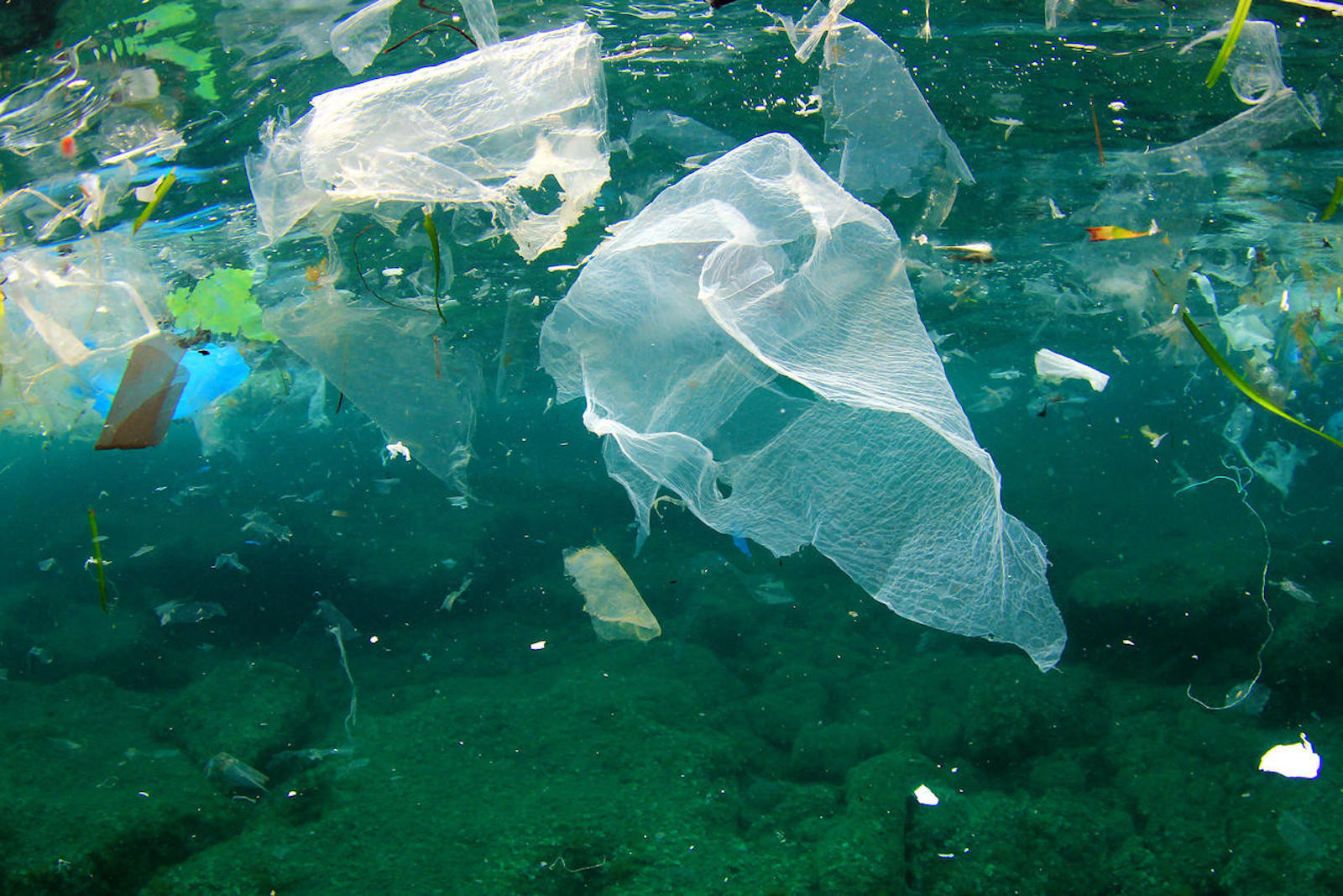 Vì sao nhận thức về rác thải nhựa đại dương ở Việt Nam còn hạn chế? - 1