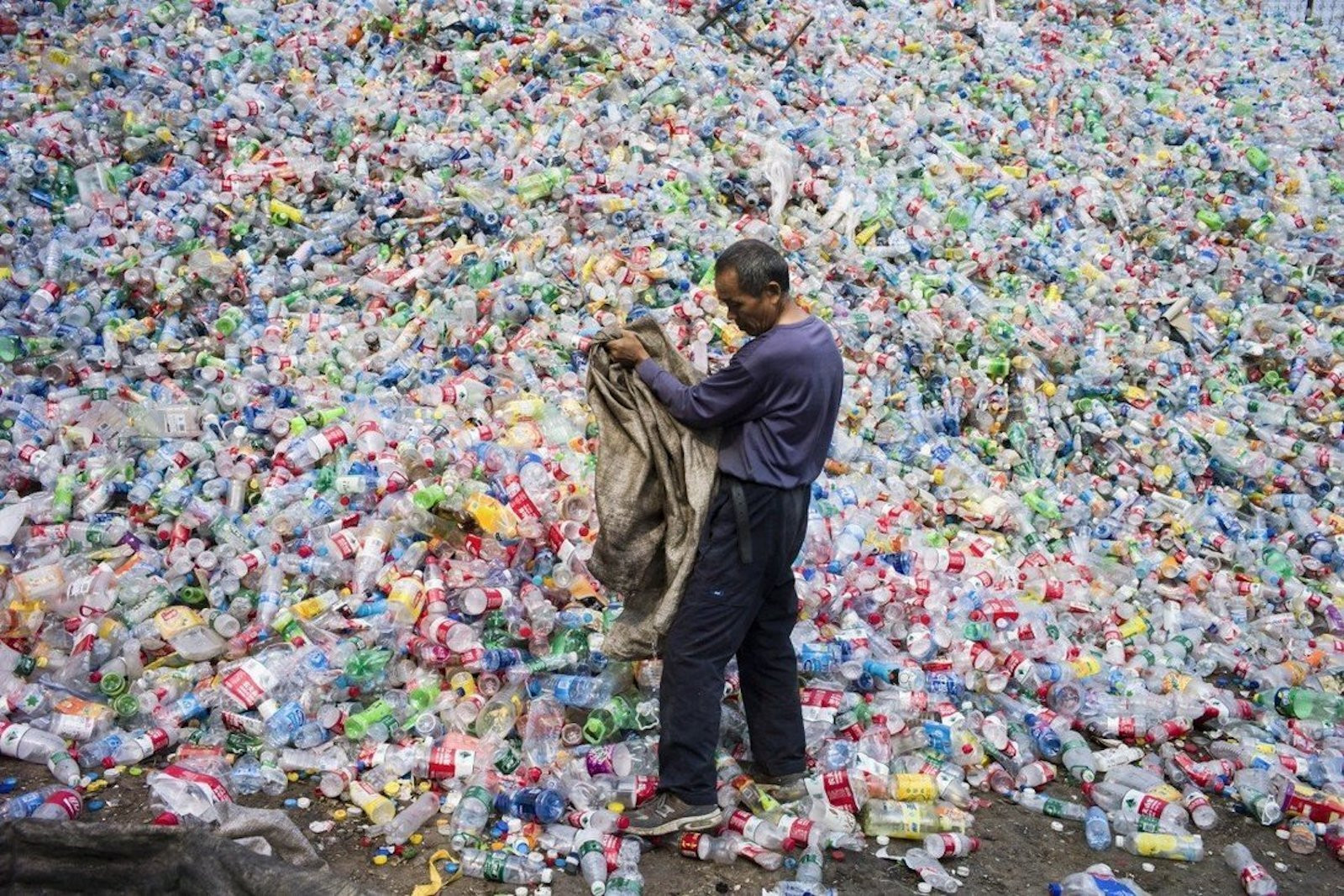 Nhựa dùng một lần - nỗi ám ảnh của môi trường biển - 4