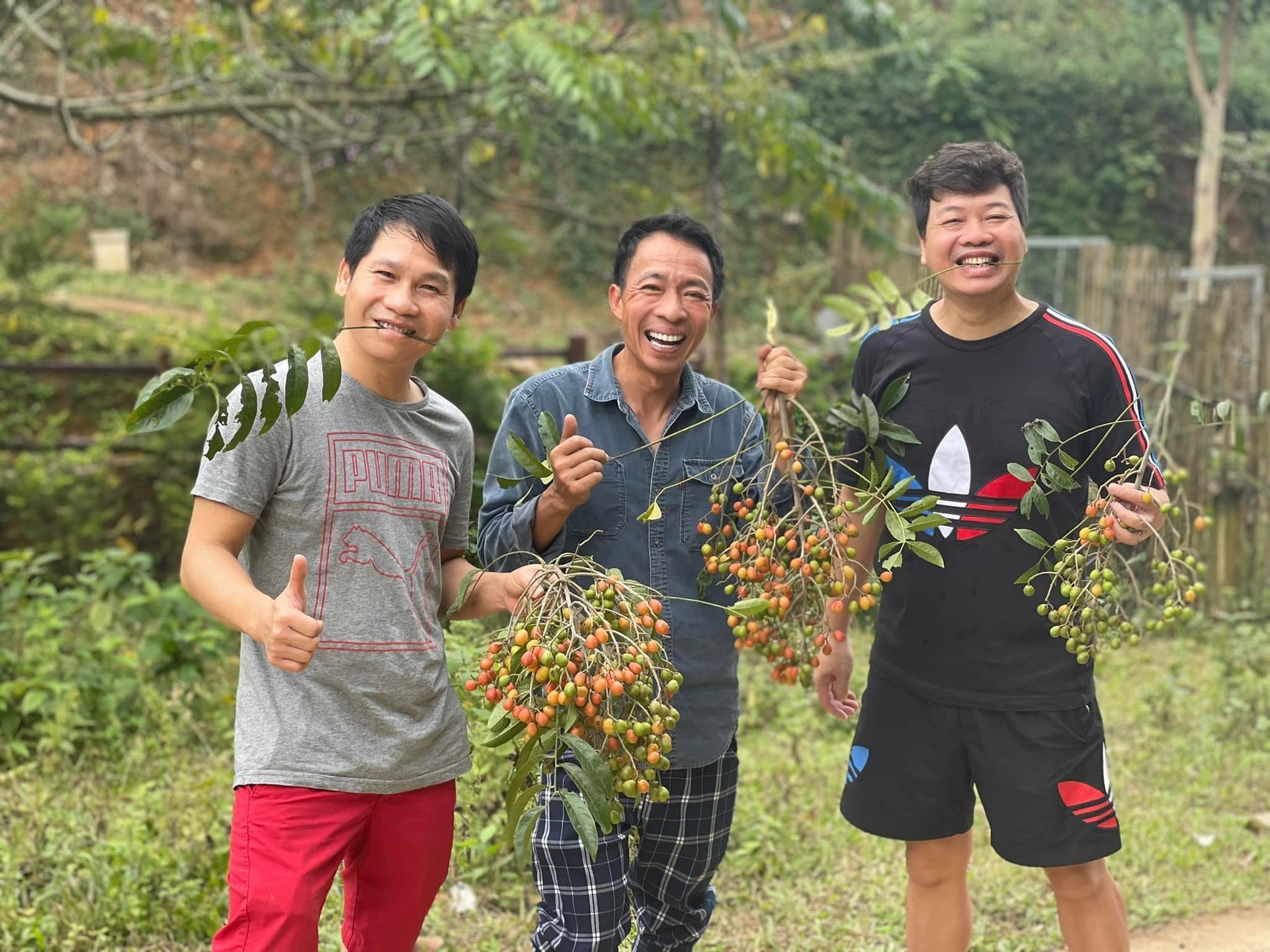 Đời thường giản dị đến ngỡ ngàng của Đăng Dương, Trọng Tấn, Việt Hoàn