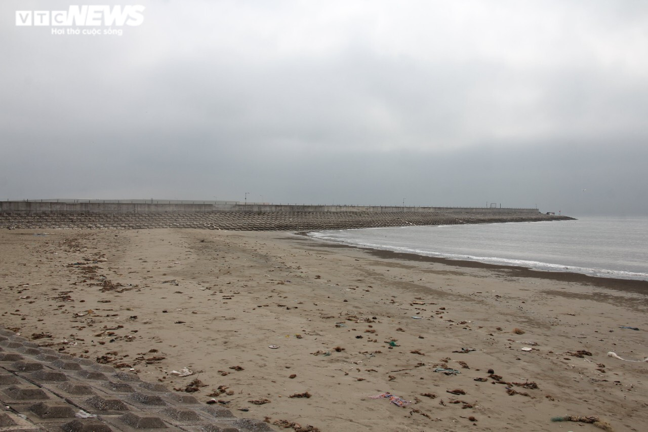 Hải Phòng: Rác thải tràn ngập các bãi biển ở huyện đảo Cát Hải  - 1