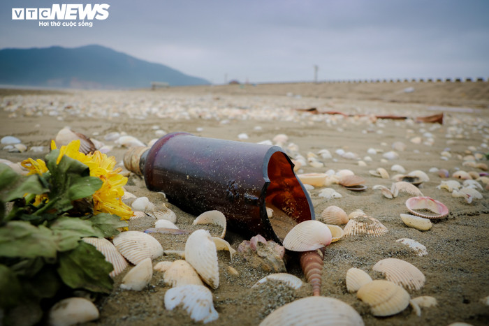 Ảnh: Rác thải nhựa bủa vây những 'bãi biển ngọc' ở Hà Tĩnh - 6