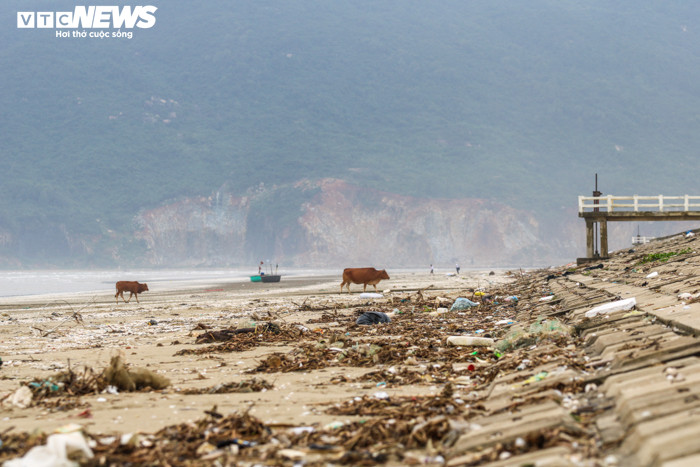 Ảnh: Rác thải nhựa bủa vây những 'bãi biển ngọc' ở Hà Tĩnh - 11
