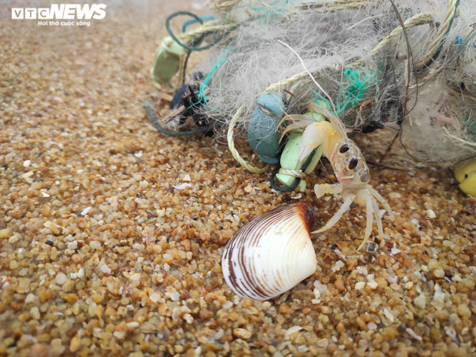 Ảnh: Rác thải nhựa bủa vây những 'bãi biển ngọc' ở Hà Tĩnh - 8