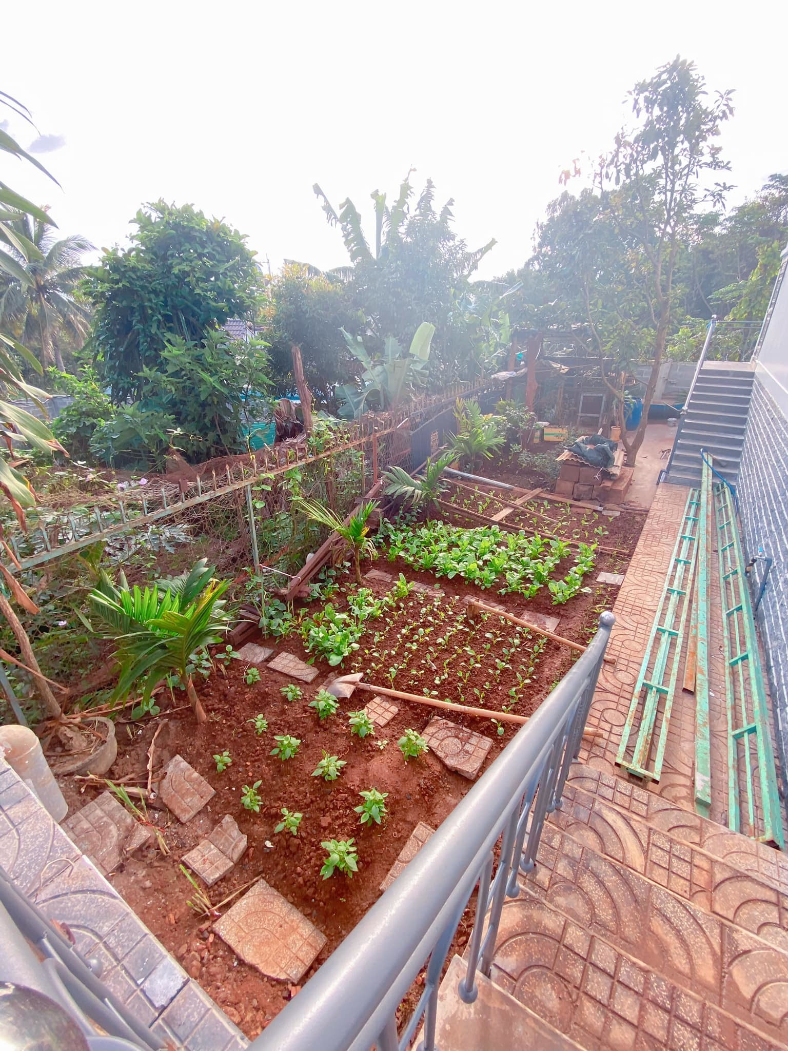 Nhà mái Thái rộng 170m2 ở Gia Lai có vườn rau nhỏ xinh mướt mắt