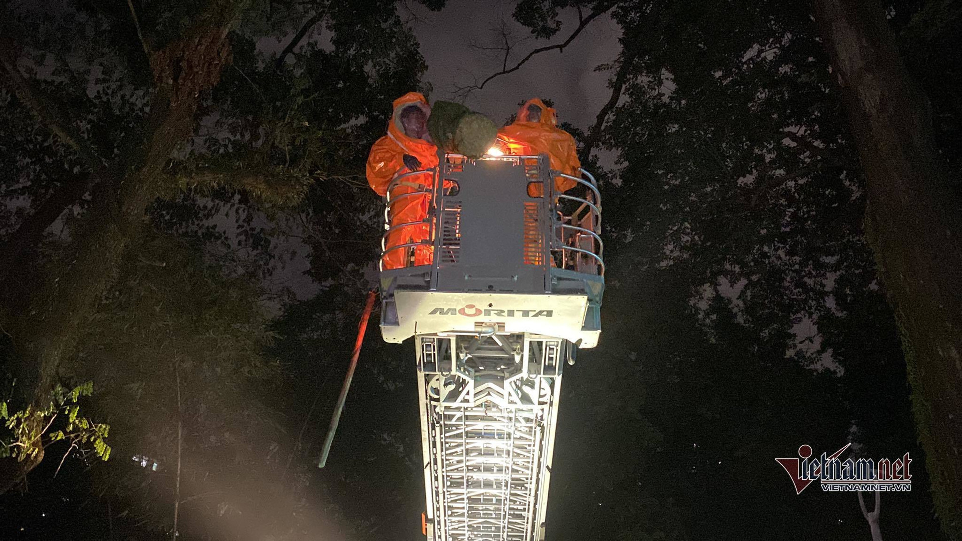Cảnh sát dùng xe thang bắt tổ ong vò vẽ nguy hiểm trong Thảo Cầm Viên
