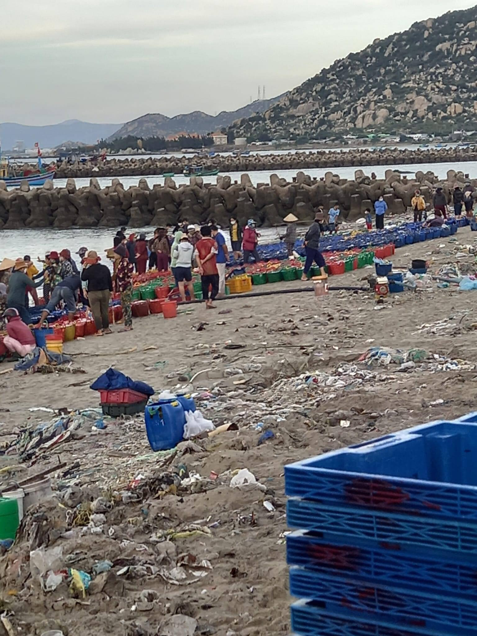 Bãi biển ngập ngụa trong rác thải, tỉnh Ninh Thuận chỉ đạo xử lý dứt điểm - 3