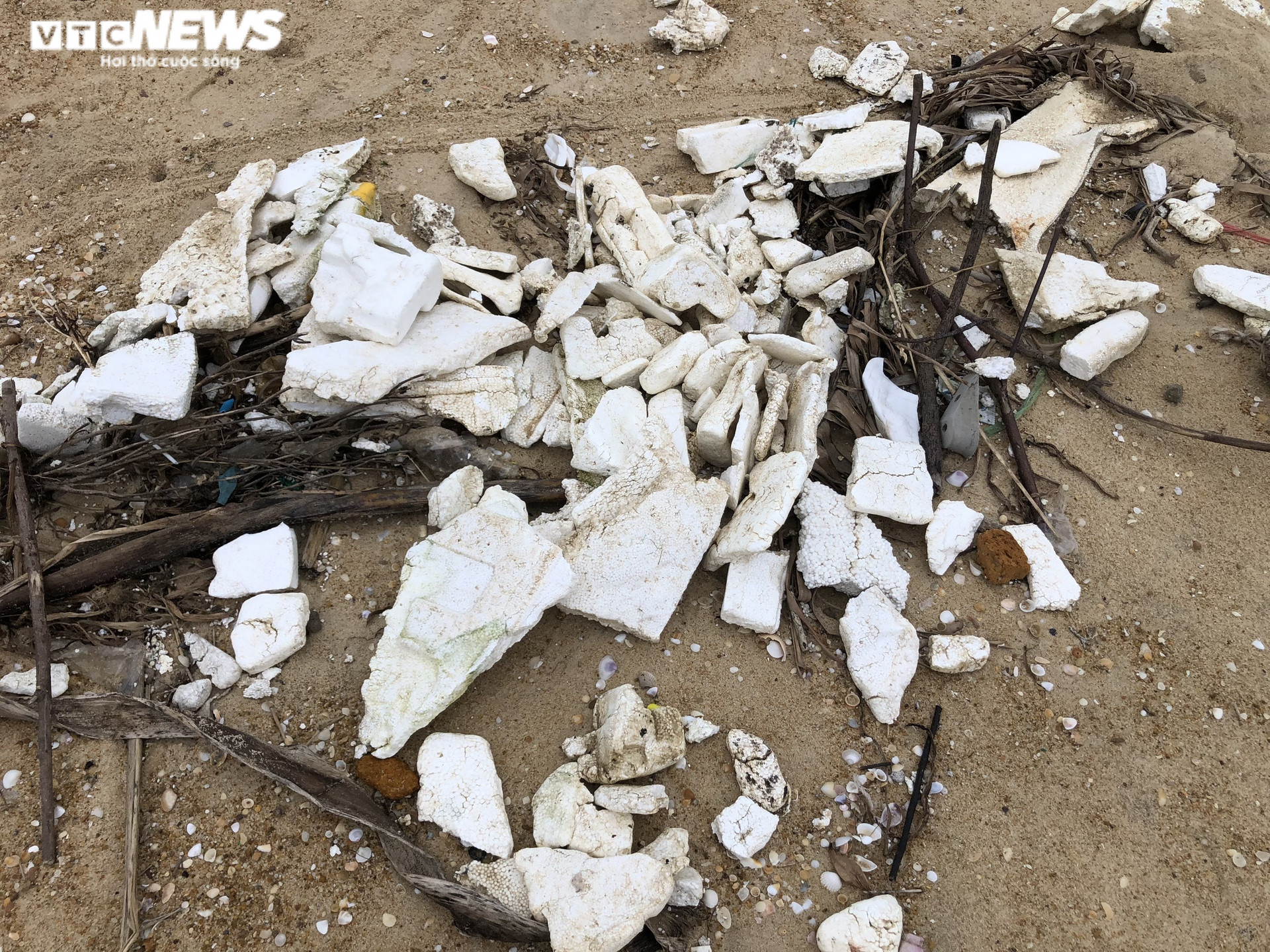 Ảnh: Rác thải nhựa trôi dạt lên bãi biển đẹp nhất Thừa Thiên - Huế - 6