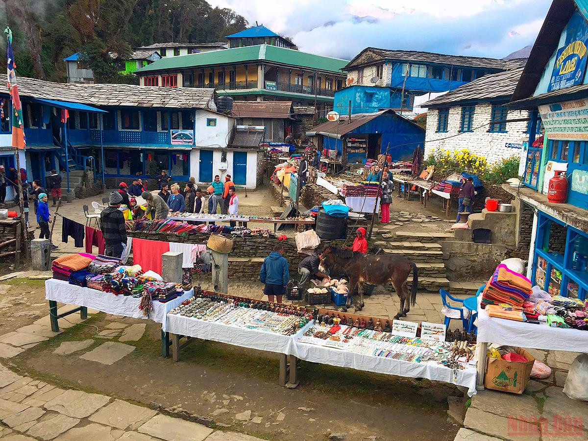 Sắc thu rực rỡ ở Nepal - 10