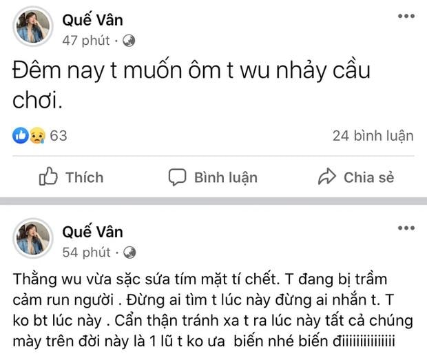 SỐC: Quế Vân đăng status muốn ôm con nhảy cầu-2