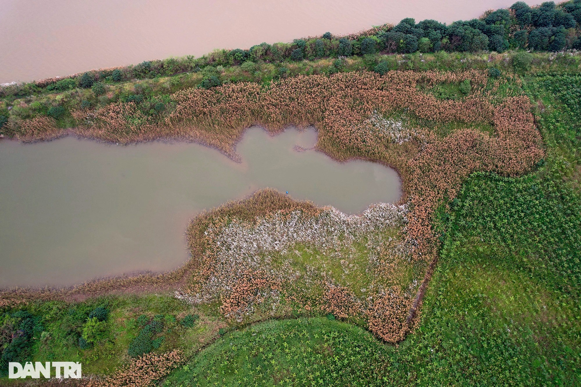 Những bãi bồi sông Hồng hoang sơ vắng dấu chân người ở Hà Nội - 12