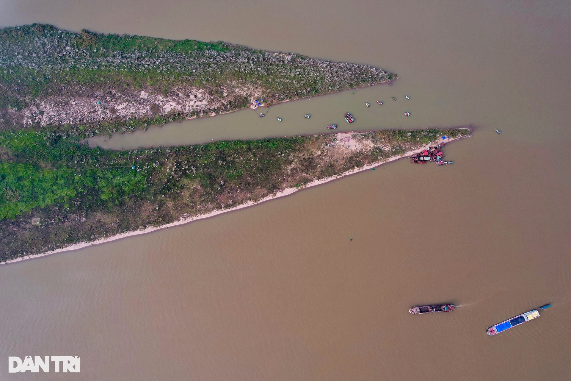 Những bãi bồi sông Hồng hoang sơ vắng dấu chân người ở Hà Nội - 15