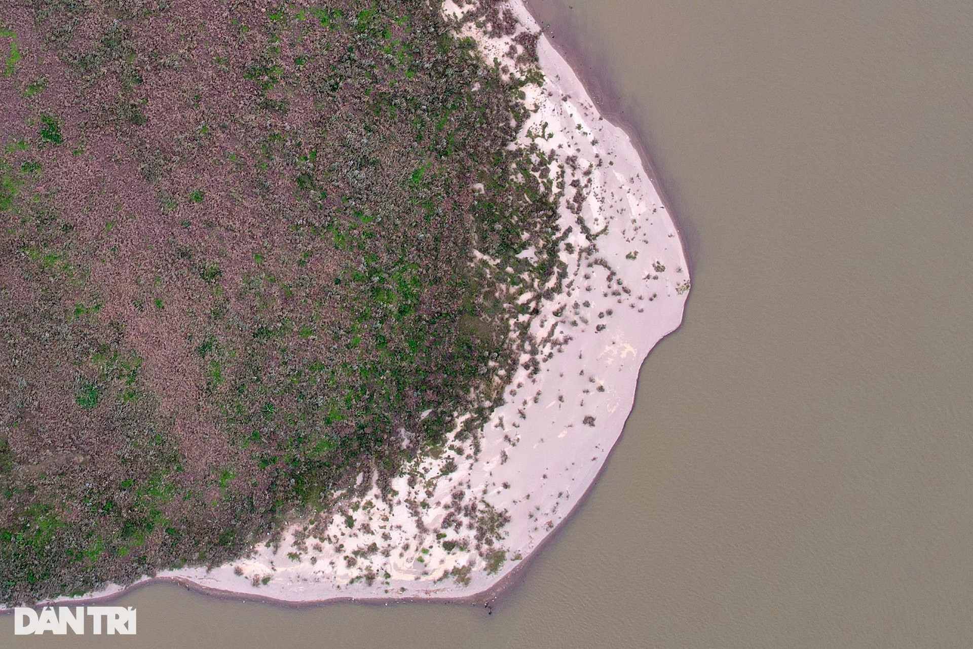 Những bãi bồi sông Hồng hoang sơ vắng dấu chân người ở Hà Nội - 9